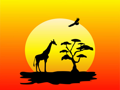 长颈鹿和日落的剪影
