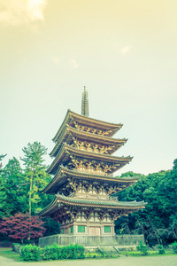 在秋天，日本京都 筛选图像过程中醍醐寺