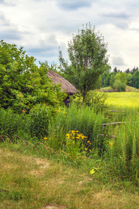 乌克兰的小屋茅草坡耕地近