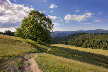 Pieniny 山脉波兰喀尔巴阡山