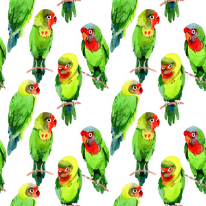 天空鸟小鹦鹉图案在野生动物的水彩风格