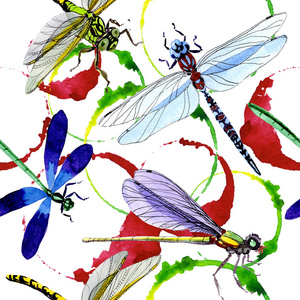 水彩风格的外来蜻蜓野生昆虫图案