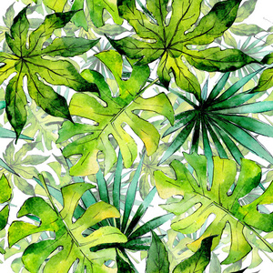 热带夏威夷叶植物模式以水彩风格