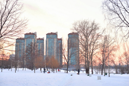城市公园在冬天