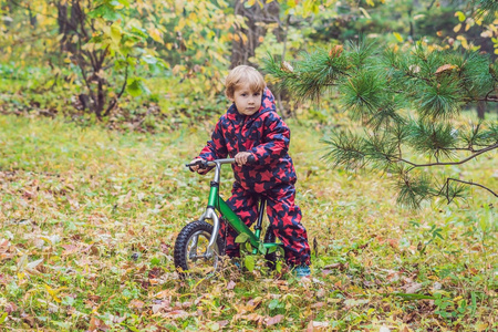小男孩开心骑自行车在秋天的树林。选择性的焦点