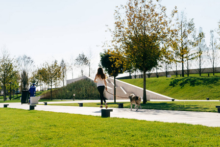 一个年轻的姑娘走带着她在公园里，绿色的草坪的大狗