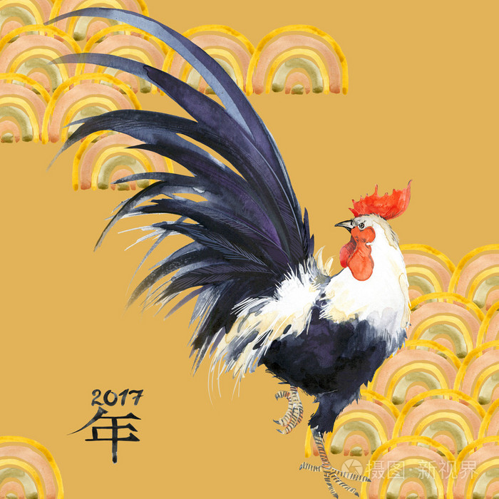 鸡年.中国农历新年的公鸡.水彩插图.公鸡中国画.新的一年卡