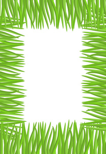 框架的绿草。自然的矢量图和空间