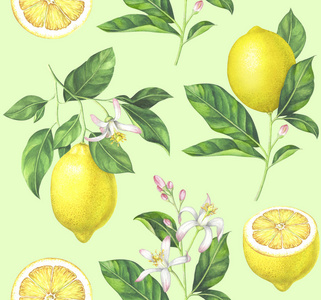 浅绿色背景水彩柠檬图案