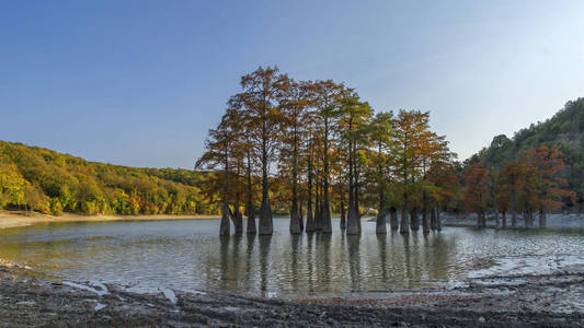 秋柏湖