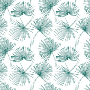 热带树叶, 丛林模式。无缝的, 详细的, 植物图案。矢量背景。棕榈树叶