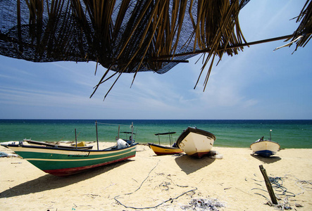 竹林下的风光, 传统的渔船搁浅在阳光明媚的晴天, 被遗弃的沙滩