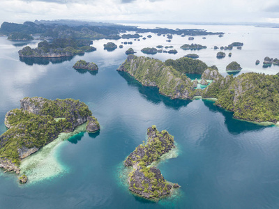 远赴美丽海景 感受热带生态之旅