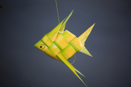 柳条的椰子制叶鱼