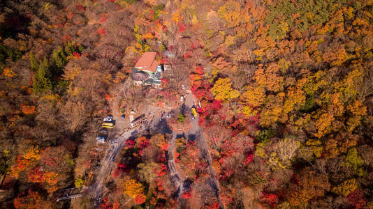 韩国 Naejangsan 国家公园秋季