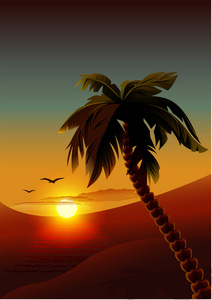 在热带小岛上的棕榈树。浪漫夜景
