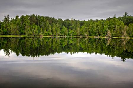 荒野湖的倒影。在北密歇根森林的一个荒野湖泊清澈纯净的水域中反射的松树林