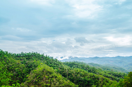 新鲜的绿色景观山在清迈北部在泰国