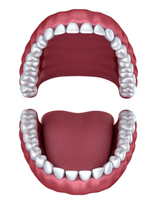 3d 开放义齿上白色孤立