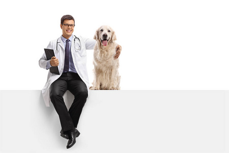 兽医与拉布拉多猎犬狗坐在一个面板上孤立的白色背景