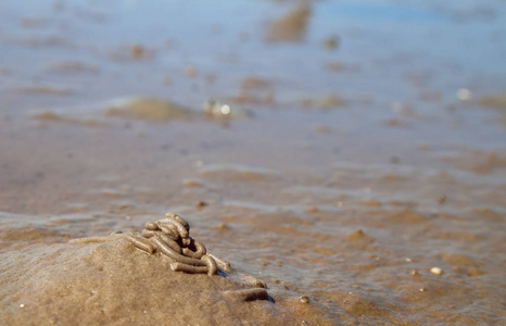 登海