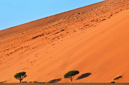 Sossusvlei，纳米布诺克国家公园纳米比亚