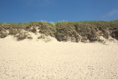 阳光沙滩上的沙丘从海景角度