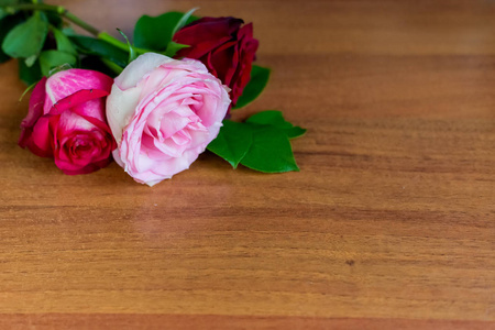 美丽的红玫瑰花躺在一张木桌上