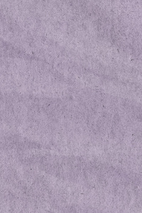 回收站淡紫色纸粗晶皱的 Grunge 纹理样本
