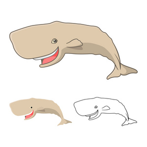 优质抹香鲸卡通形象包括平面设计