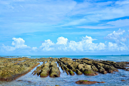 婆罗洲石海滩的尖端。古达, 沙巴, 马来西亚。2017年1月