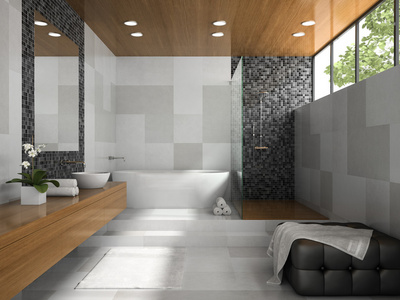 内部的灰色墙壁 3d 渲染时尚浴室
