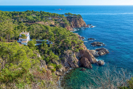 尼斯的细节, 从哥斯达黎加海岸在西班牙, La Fosca