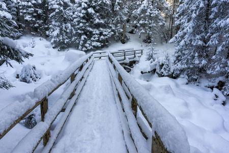 在冬天的山林中的一座桥。Tatra 山脉