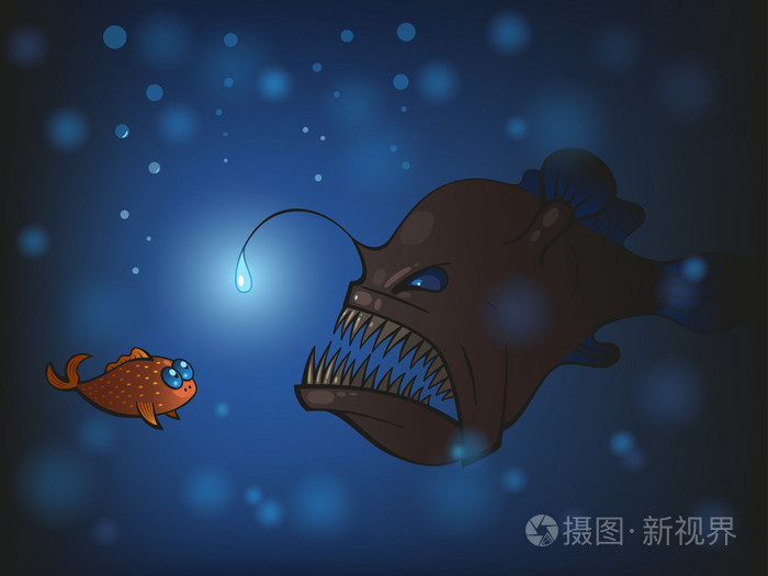 琵琶鱼
