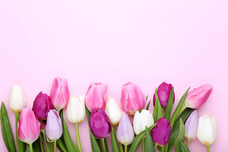      粉红色背景上的郁金香花束