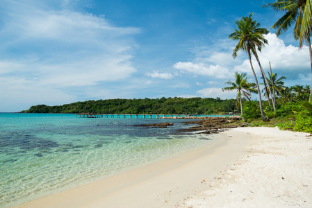 美丽的海滩和棕榈树在沽岛，泰国