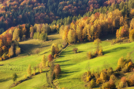 Beskid Sadecki 山脉波兰喀尔巴阡山