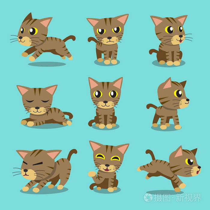 卡通性格棕色虎斑猫构成