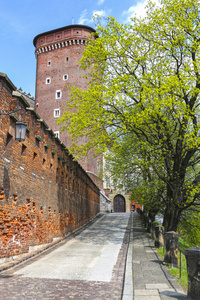 瓦维尔皇家城堡，克拉科夫波兰