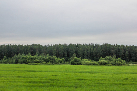 田野里的夏日风景, 绿草与天空
