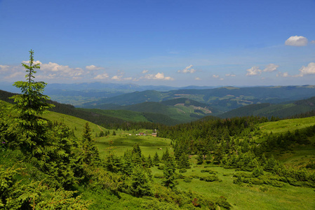 乌克兰 Chornohora 地区夏季景观