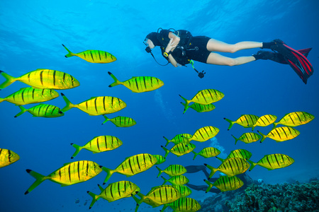 年轻女子潜水员探索海底图片