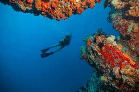 年轻女子潜水员探索海底