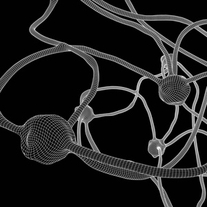 神经元系统线框网格模型
