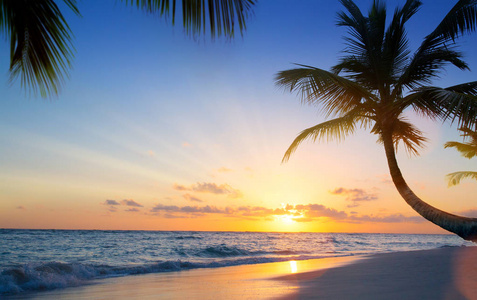 艺术美丽的日落在热带海滩