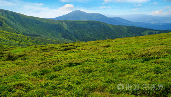 在夏天山风景