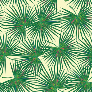 模式与绿色的棕榈叶