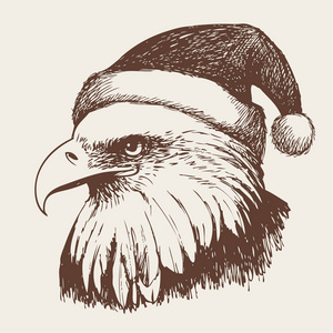 老鹰鸟用圣诞节帽子, 嘟嘟手