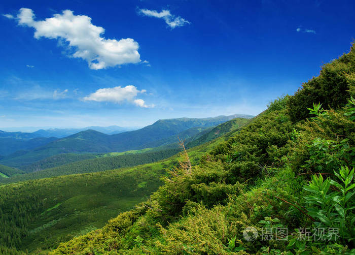 在夏天山风景